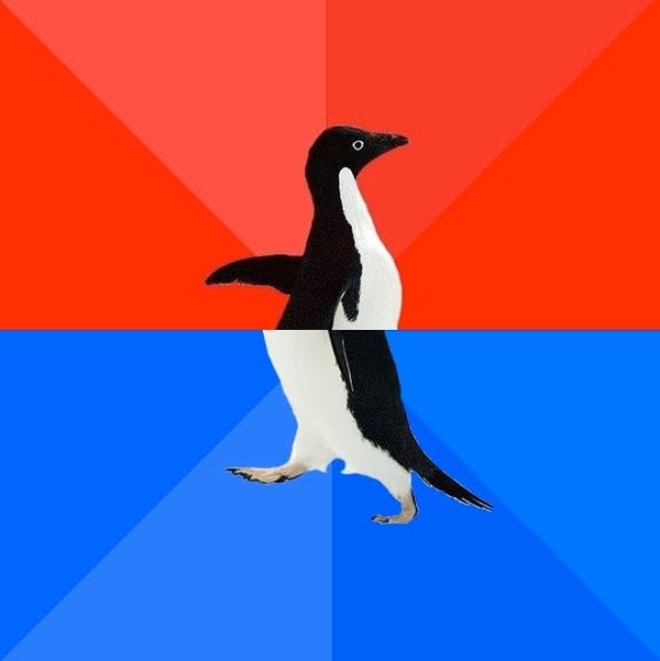 Socially Awesome Awkward Penguin meme template