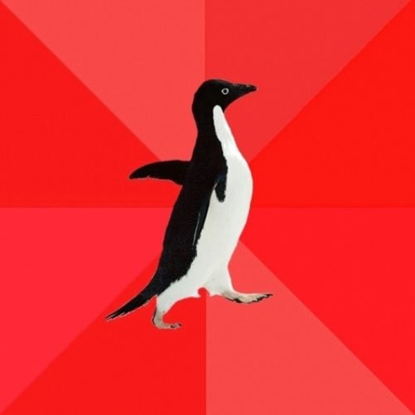 Socially Awesome Penguin meme template