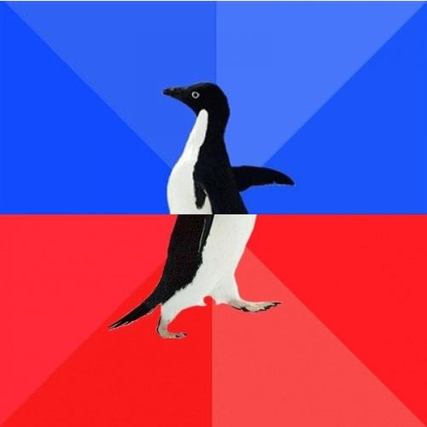 Socially Awkward Awesome Penguin meme template
