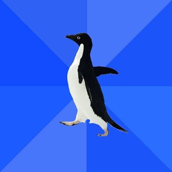 Socially Awkward Penguin blank meme template