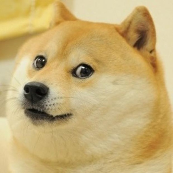 Doge blank meme template