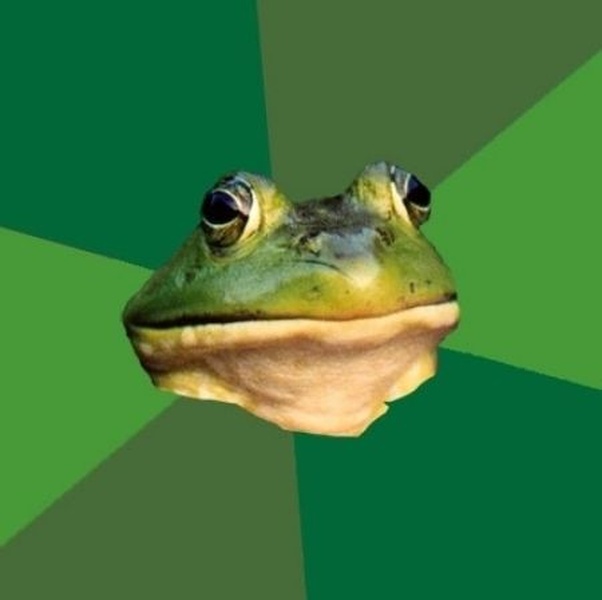 Foul Bachelor Frog blank meme template