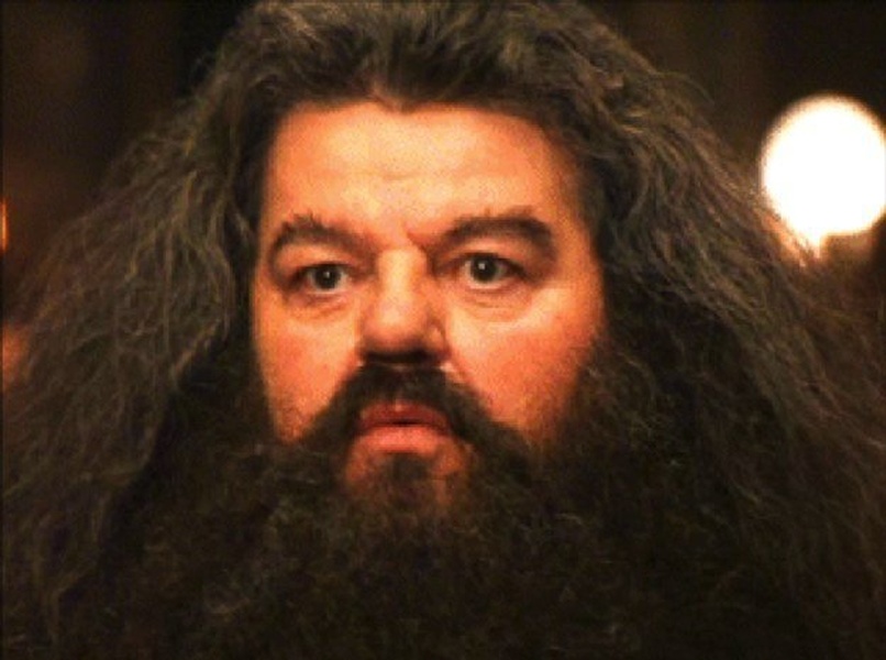 I Should Not Have Said That meme template