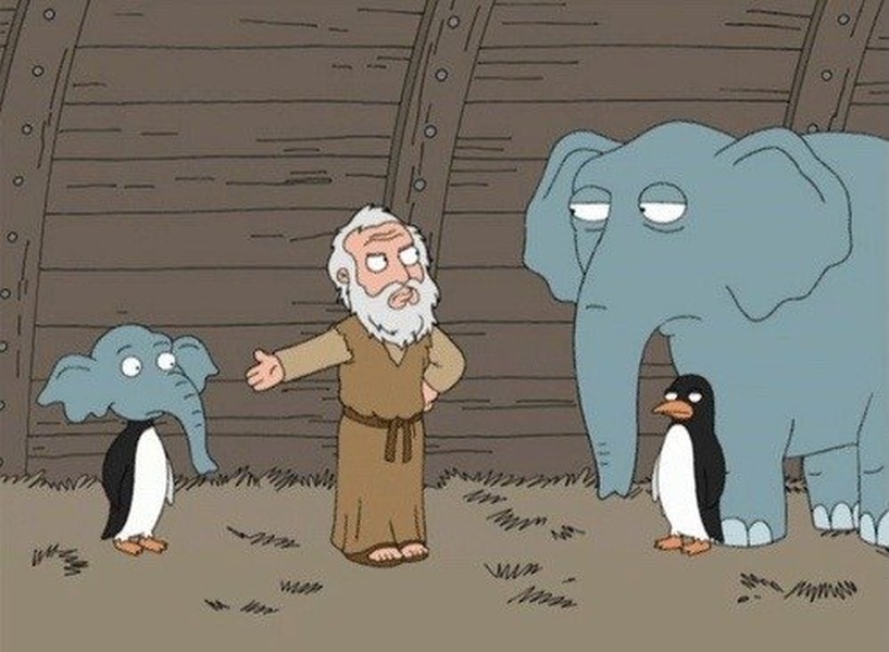 What the Hell is This? blank meme template