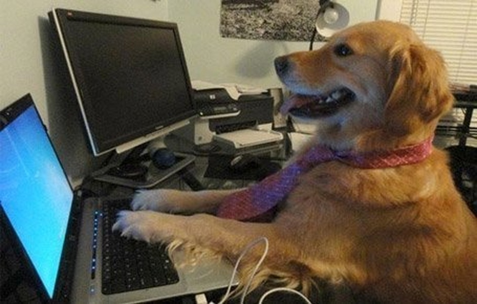 I Have No Idea What I'm Doing meme template