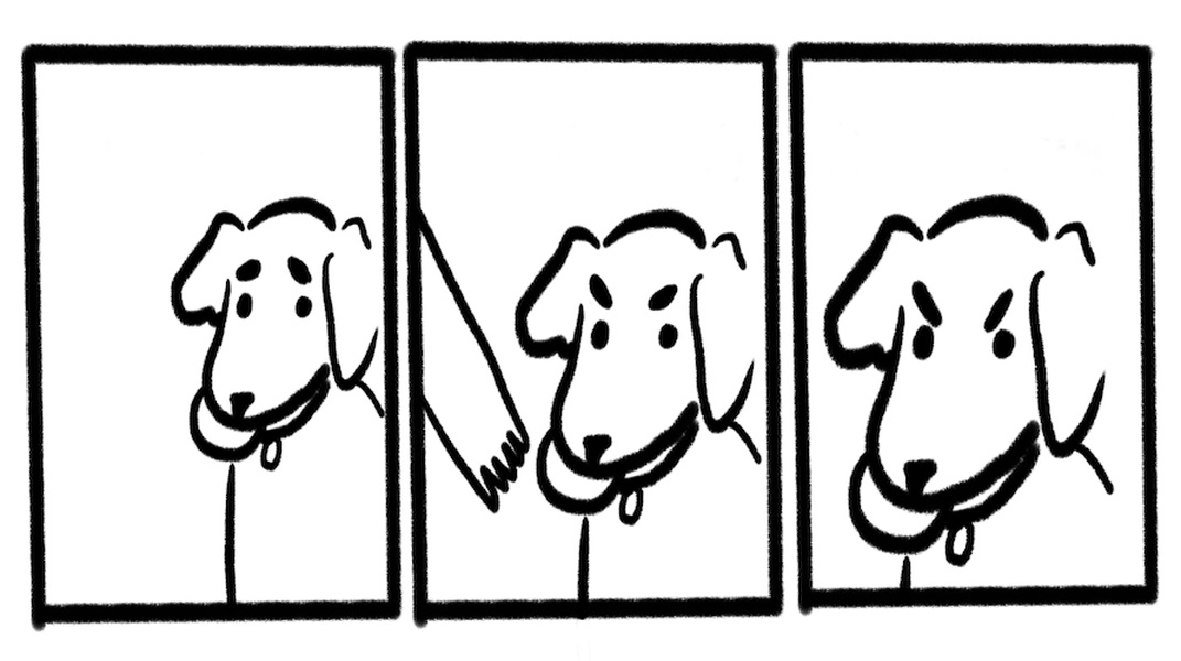 No Take, Only Throw blank meme template