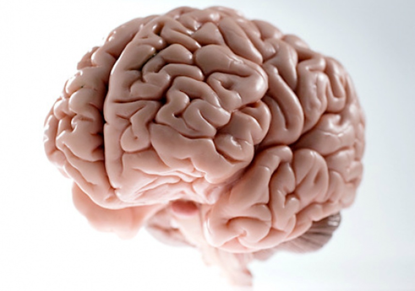 Scumbag Brain meme template