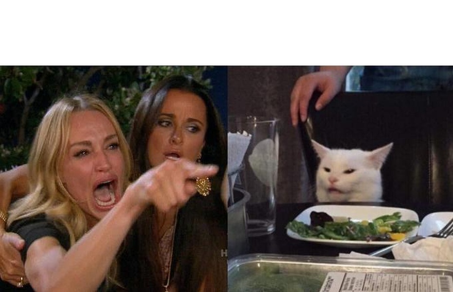 Woman Yelling at a Cat blank meme template